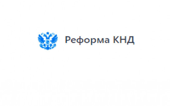 Меры господдержки бизнеса  и права контролируемых лиц  в условиях моратория в 2023 году
